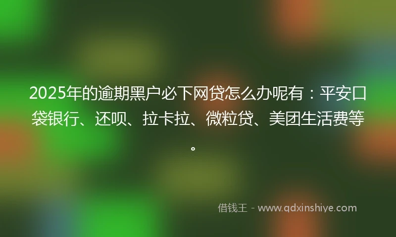 2025年的逾期黑户必下网贷怎么办呢有：平安口袋银行、还呗、拉卡拉、微粒贷、美团生活费等。