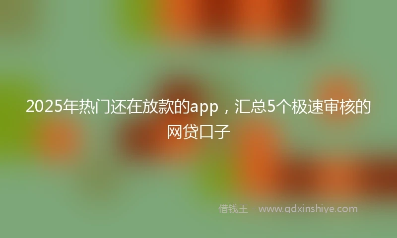2025年热门还在放款的app，汇总5个极速审核的网贷口子