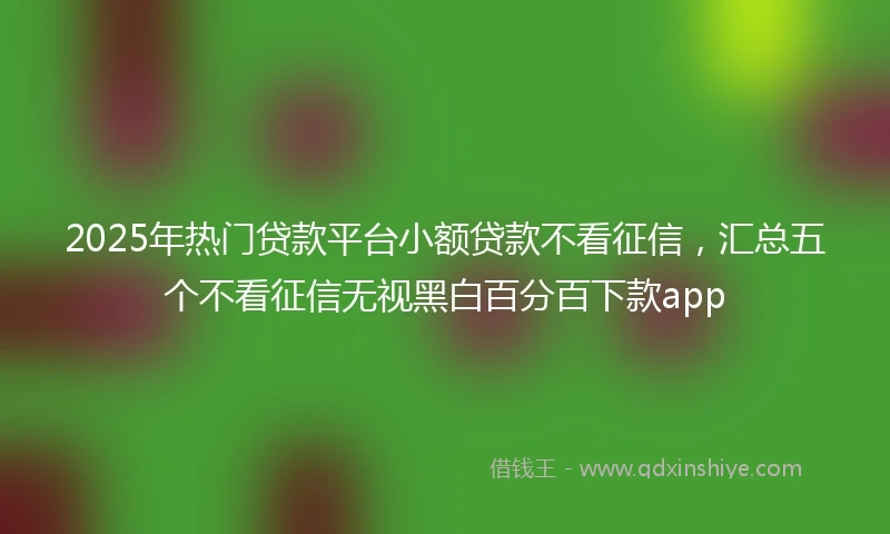 2025年热门贷款平台小额贷款不看征信，汇总五个不看征信无视黑白百分百下款app