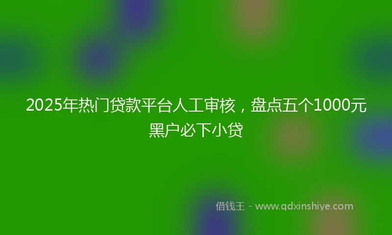 2025年热门贷款平台人工审核，盘点五个1000元黑户必下小贷