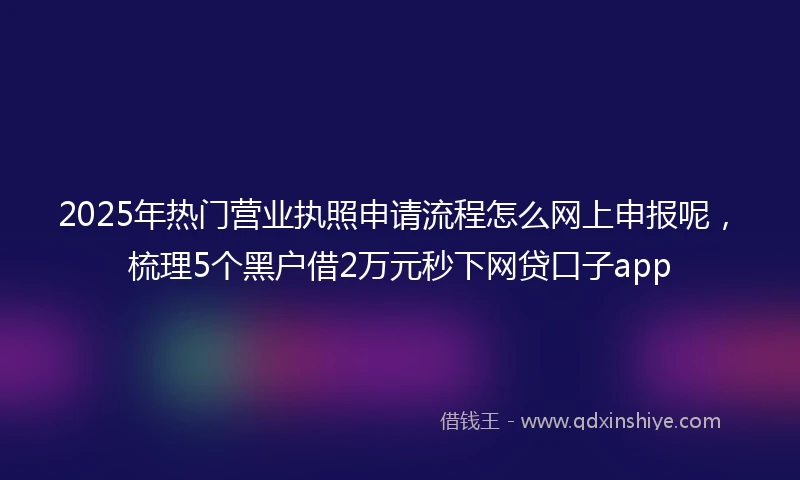 2025年热门营业执照申请流程怎么网上申报呢，梳理5个黑户借2万元秒下网贷口子app