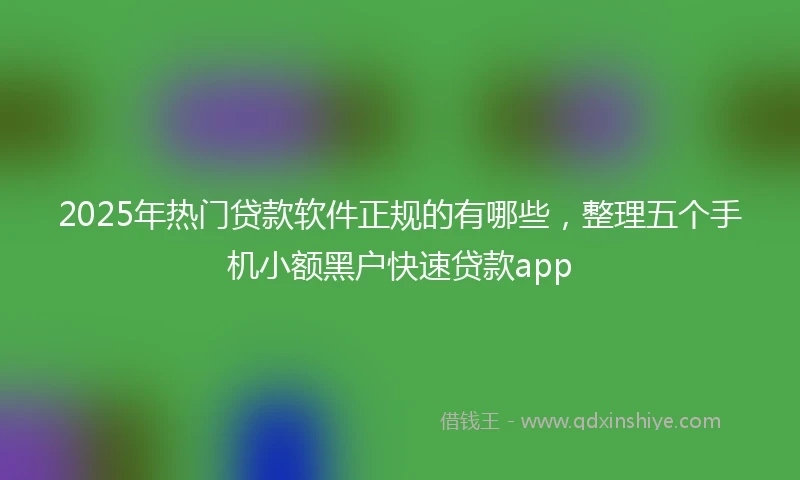 2025年热门贷款软件正规的有哪些，整理五个手机小额黑户快速贷款app
