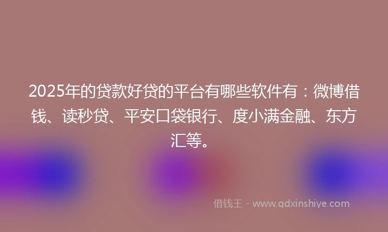 2025年的贷款好贷的平台有哪些软件有：微博借钱、读秒贷、平安口袋银行、度小满金融、东方汇等。