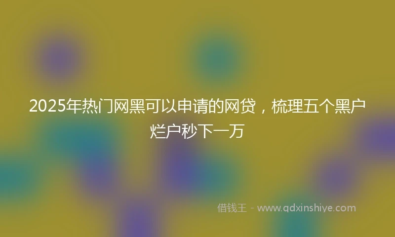 2025年热门网黑可以申请的网贷，梳理五个黑户烂户秒下一万