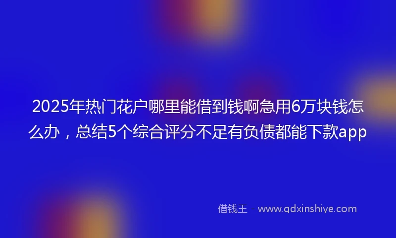 2025年热门花户哪里能借到钱啊急用6万块钱怎么办，总结5个综合评分不足有负债都能下款app