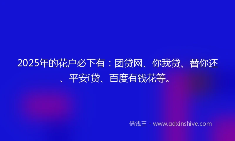 2025年的花户必下有：团贷网、你我贷、替你还、平安i贷、百度有钱花等。