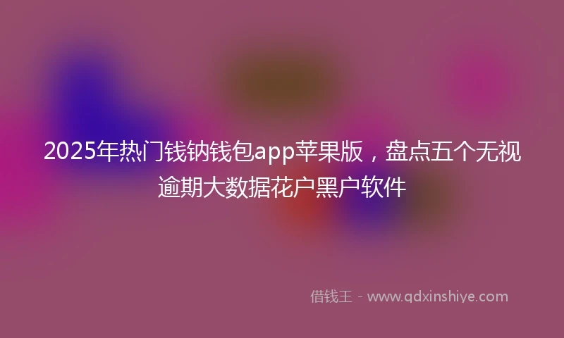 2025年热门钱钠钱包app苹果版，盘点五个无视逾期大数据花户黑户软件