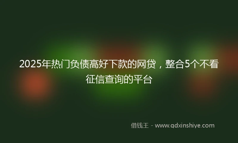 2025年热门负债高好下款的网贷，整合5个不看征信查询的平台