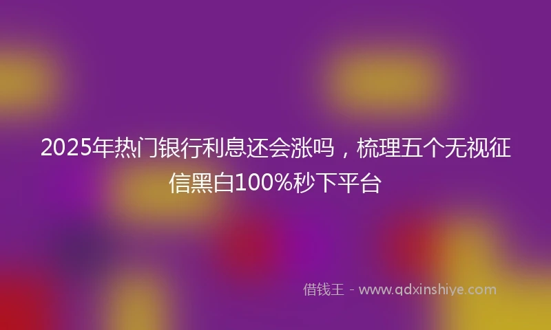 2025年热门银行利息还会涨吗，梳理五个无视征信黑白100%秒下平台