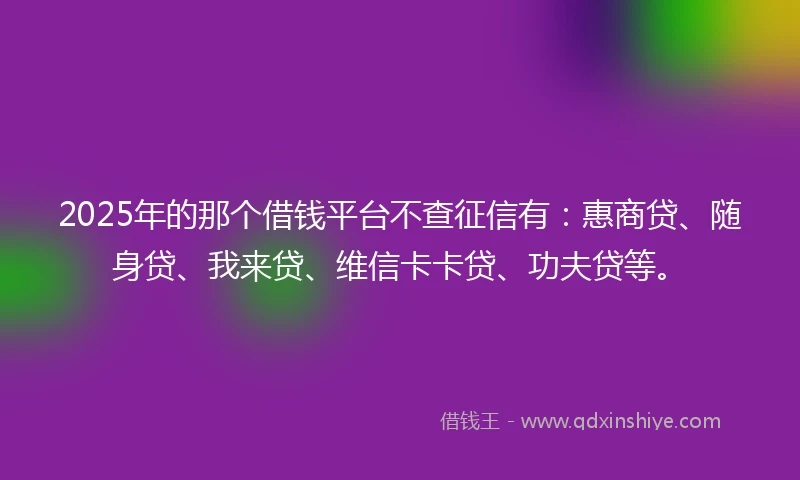 2025年的那个借钱平台不查征信有：惠商贷、随身贷、我来贷、维信卡卡贷、功夫贷等。