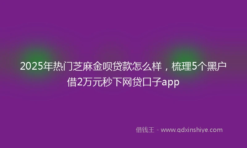 2025年热门芝麻金呗贷款怎么样，梳理5个黑户借2万元秒下网贷口子app