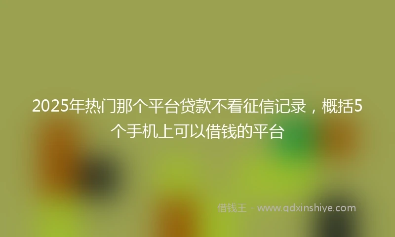 2025年热门那个平台贷款不看征信记录，概括5个手机上可以借钱的平台