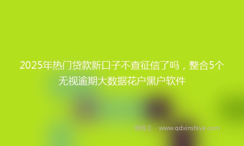 2025年热门贷款新口子不查征信了吗,整合5个无视逾期大数据花户黑户软件