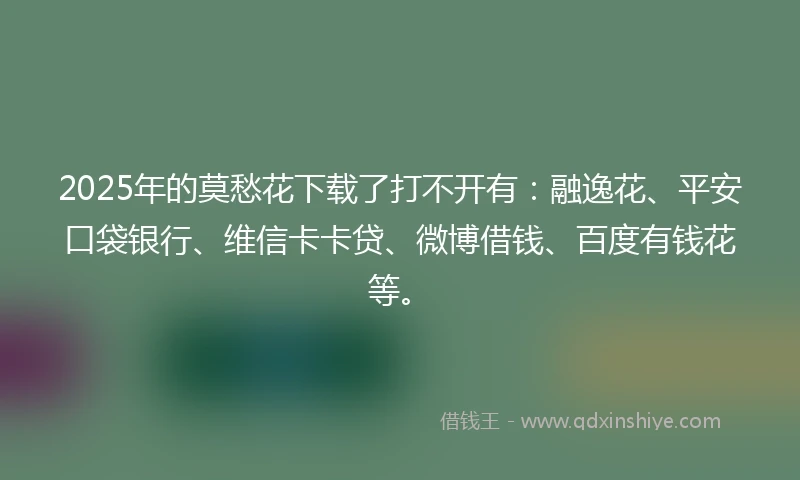 2025年的莫愁花下载了打不开有：融逸花、平安口袋银行、维信卡卡贷、微博借钱、百度有钱花等。