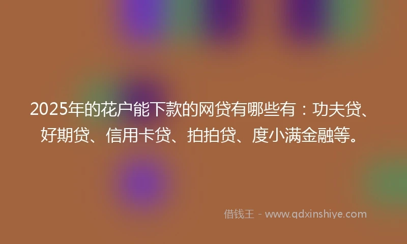 2025年的花户能下款的网贷有哪些有：功夫贷、好期贷、信用卡贷、拍拍贷、度小满金融等。