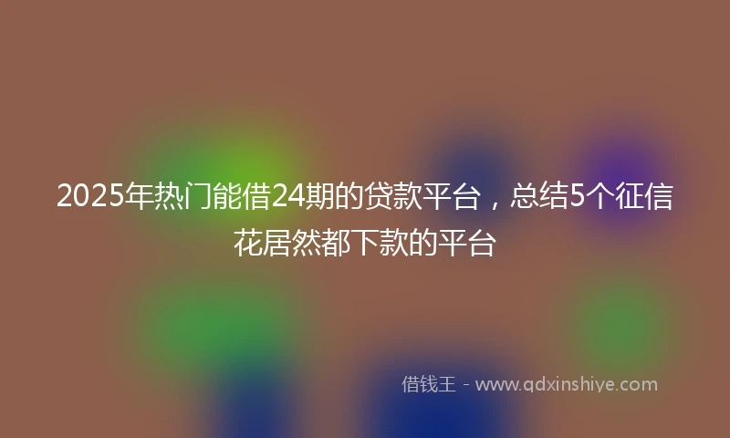 2025年热门能借24期的贷款平台，总结5个征信花居然都下款的平台