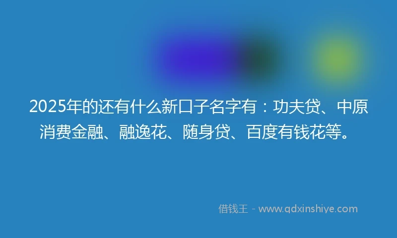 2025年的还有什么新口子名字有：功夫贷、中原消费金融、融逸花、随身贷、百度有钱花等。