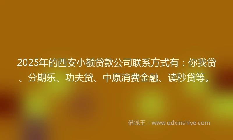 2025年的西安小额贷款公司联系方式有：你我贷、分期乐、功夫贷、中原消费金融、读秒贷等。