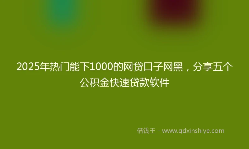 2025年热门能下1000的网贷口子网黑，分享五个公积金快速贷款软件