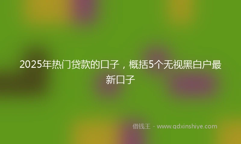 2025年热门贷款的口子，概括5个无视黑白户最新口子
