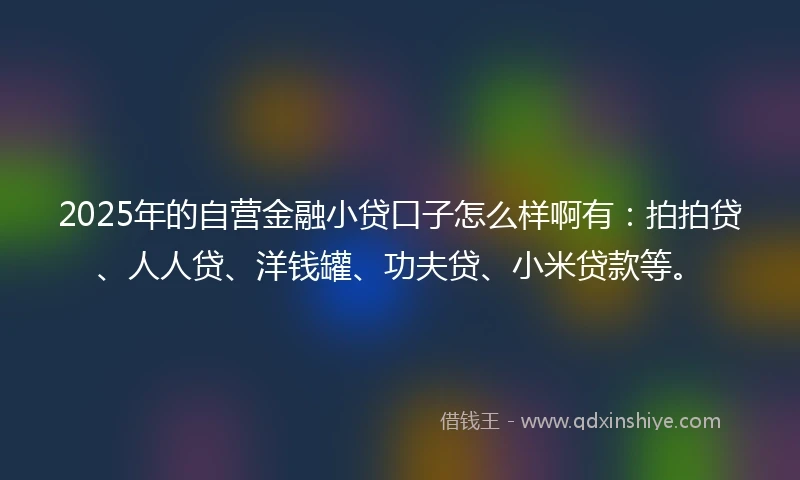 2025年的自营金融小贷口子怎么样啊有：拍拍贷、人人贷、洋钱罐、功夫贷、小米贷款等。