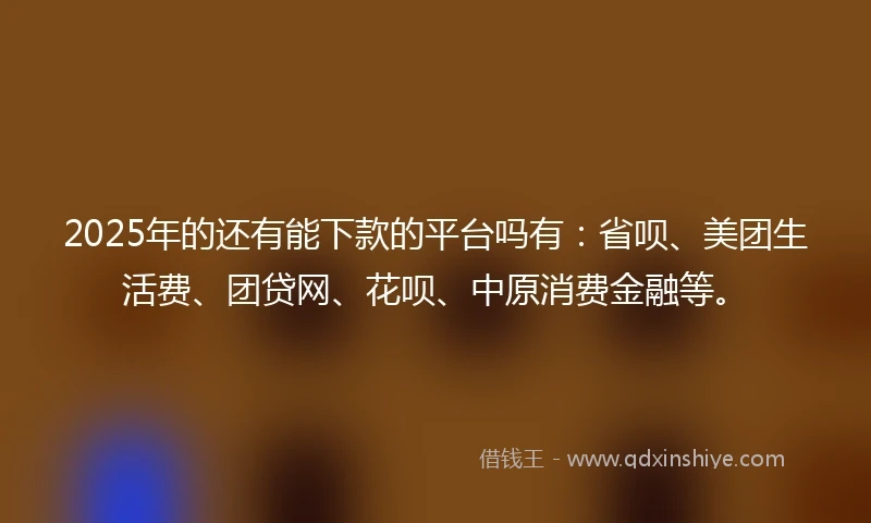 2025年的还有能下款的平台吗有：省呗、美团生活费、团贷网、花呗、中原消费金融等。