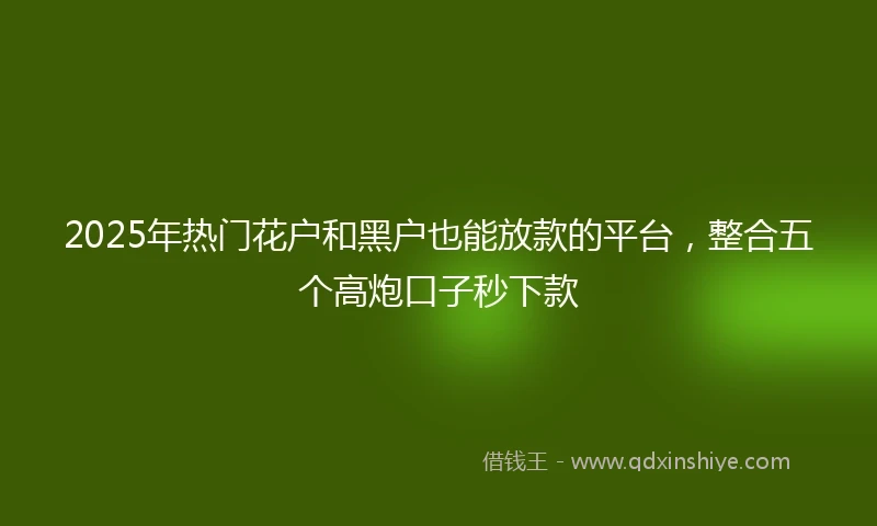 2025年热门花户和黑户也能放款的平台，整合五个高炮口子秒下款