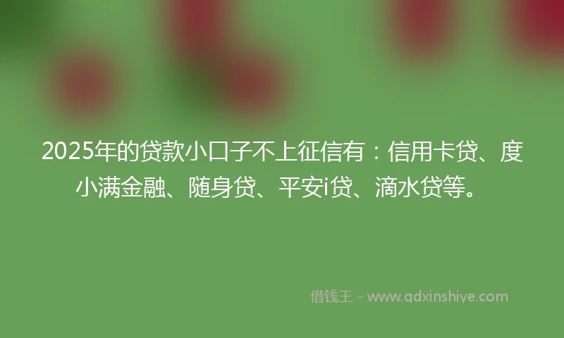 2025年的贷款小口子不上征信有：信用卡贷、度小满金融、随身贷、平安i贷、滴水贷等。