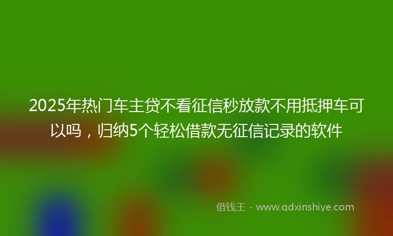 2025年热门车主贷不看征信秒放款不用抵押车可以吗，归纳5个轻松借款无征信记录的软件