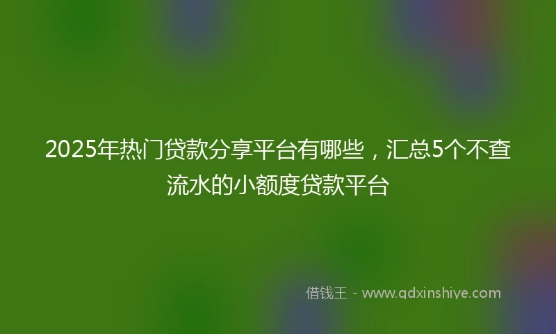 2025年热门贷款分享平台有哪些，汇总5个不查流水的小额度贷款平台