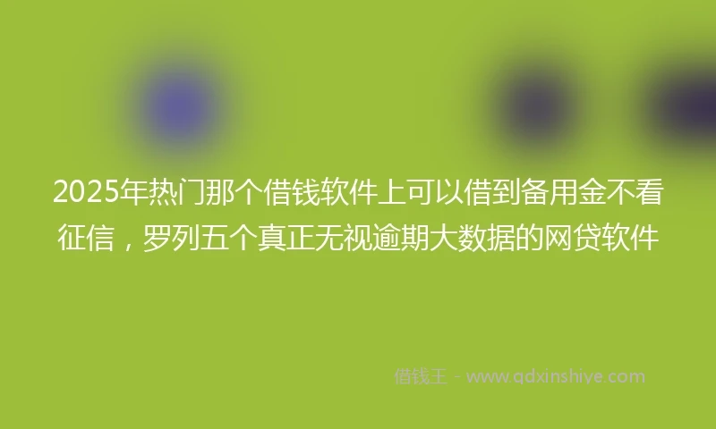 2025年热门那个借钱软件上可以借到备用金不看征信，罗列五个真正无视逾期大数据的网贷软件