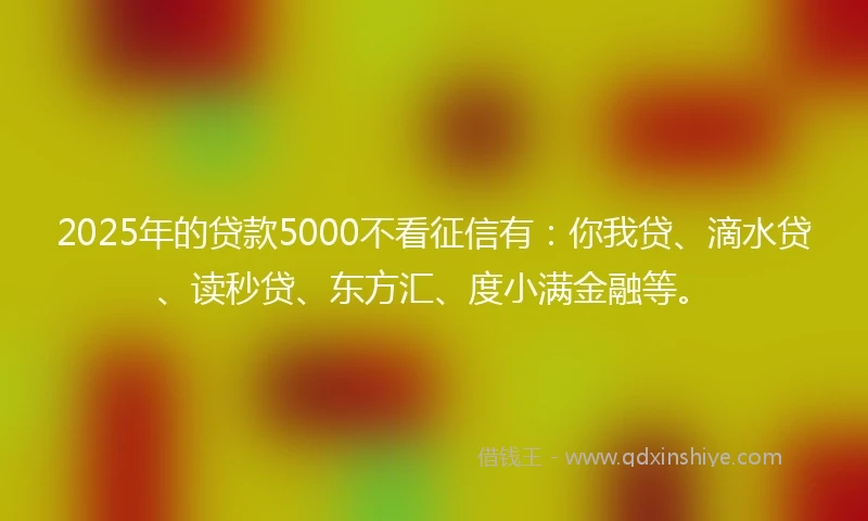 2025年的贷款5000不看征信有：你我贷、滴水贷、读秒贷、东方汇、度小满金融等。