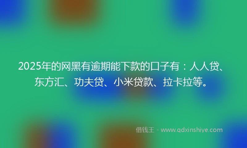 2025年的网黑有逾期能下款的口子有：人人贷、东方汇、功夫贷、小米贷款、拉卡拉等。