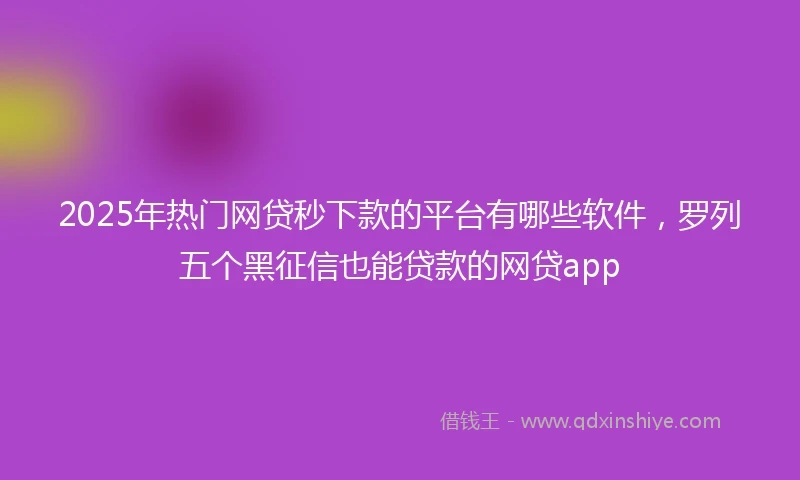 2025年热门网贷秒下款的平台有哪些软件，罗列五个黑征信也能贷款的网贷app