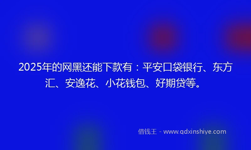 2025年的网黑还能下款有：平安口袋银行、东方汇、安逸花、小花钱包、好期贷等。