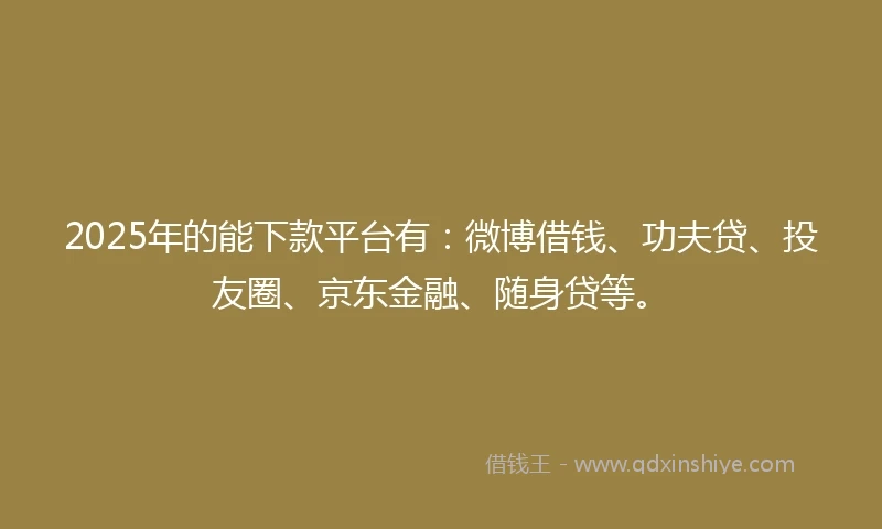2025年的能下款平台有：微博借钱、功夫贷、投友圈、京东金融、随身贷等。