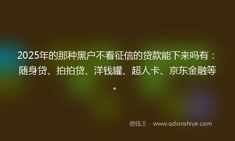 2025年的那种黑户不看征信的贷款能下来吗有：随身贷、拍拍贷、洋钱罐、超人卡、京东金融等。