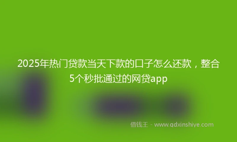 2025年热门贷款当天下款的口子怎么还款，整合5个秒批通过的网贷app