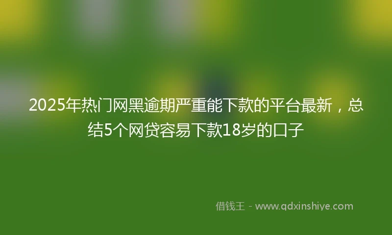 2025年热门网黑逾期严重能下款的平台最新，总结5个网贷容易下款18岁的口子
