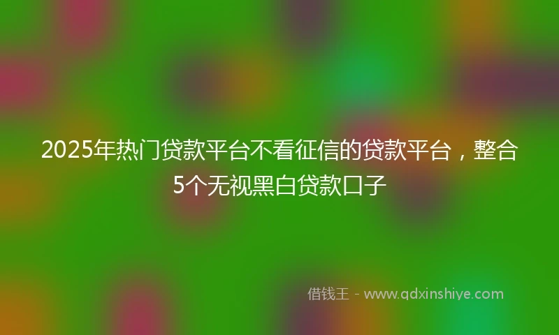 2025年热门贷款平台不看征信的贷款平台，整合5个无视黑白贷款口子