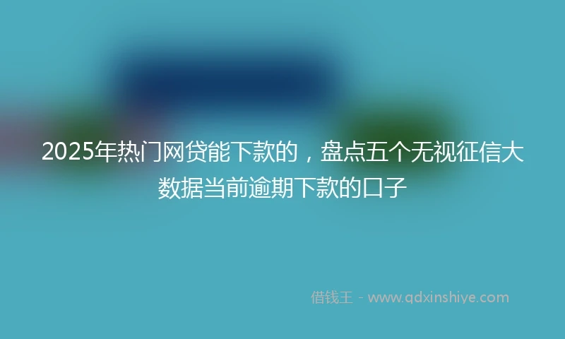 2025年热门网贷能下款的，盘点五个无视征信大数据当前逾期下款的口子