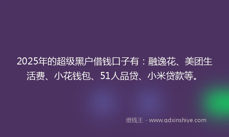2025年的超级黑户借钱口子有：融逸花、美团生活费、小花钱包、51人品贷、小米贷款等。