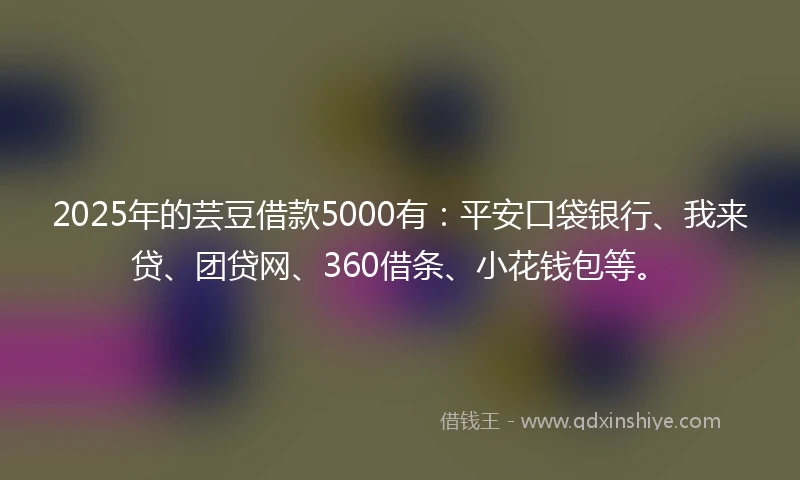 2025年的芸豆借款5000有：平安口袋银行、我来贷、团贷网、360借条、小花钱包等。