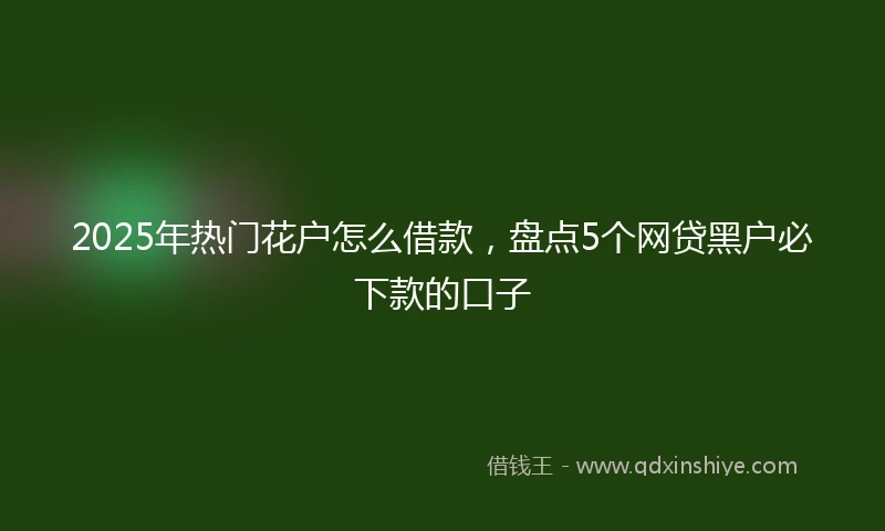 2025年热门花户怎么借款，盘点5个网贷黑户必下款的口子