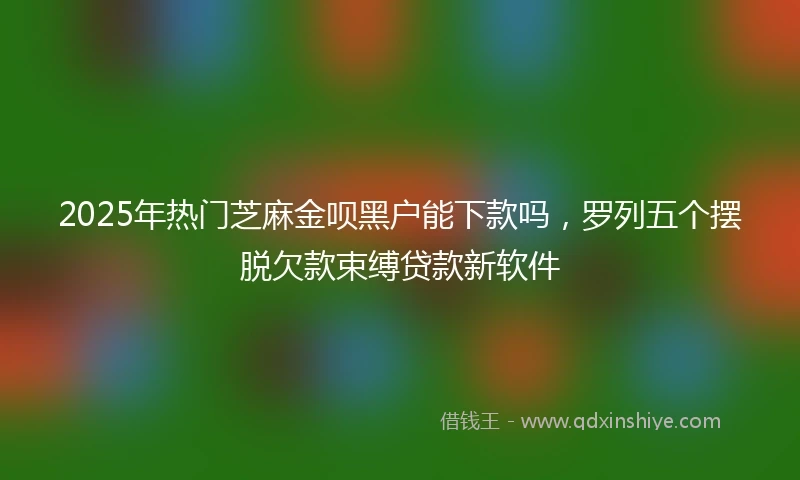 2025年热门芝麻金呗黑户能下款吗，罗列五个摆脱欠款束缚贷款新软件