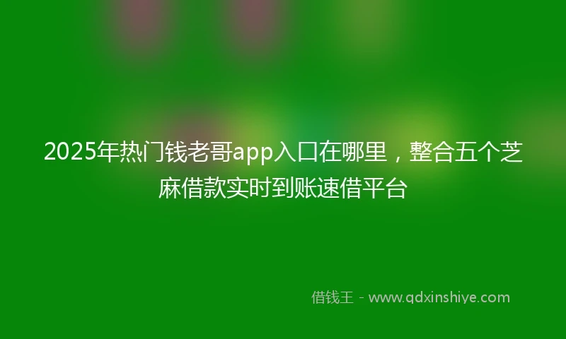 2025年热门钱老哥app入口在哪里，整合五个芝麻借款实时到账速借平台