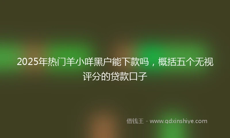 2025年热门羊小咩黑户能下款吗，概括五个无视评分的贷款口子