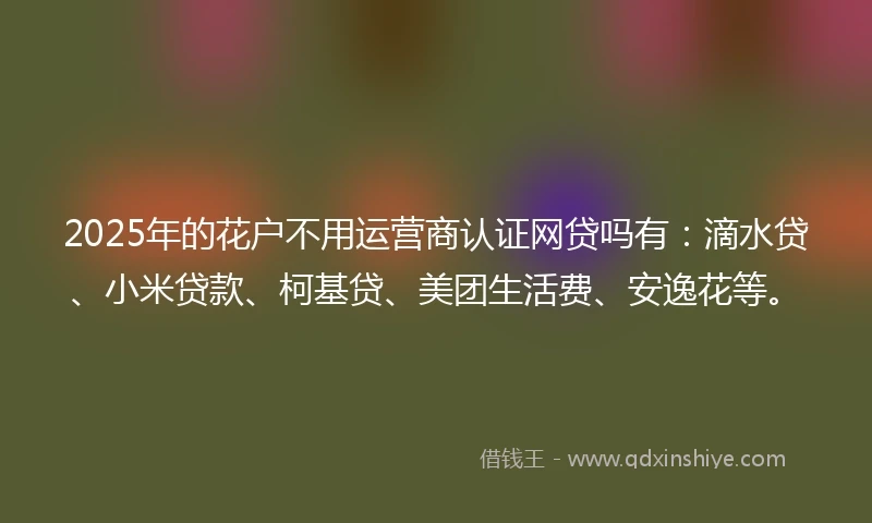 2025年的花户不用运营商认证网贷吗有：滴水贷、小米贷款、柯基贷、美团生活费、安逸花等。