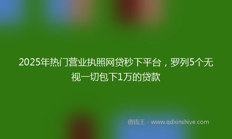 2025年热门营业执照网贷秒下平台，罗列5个无视一切包下1万的贷款