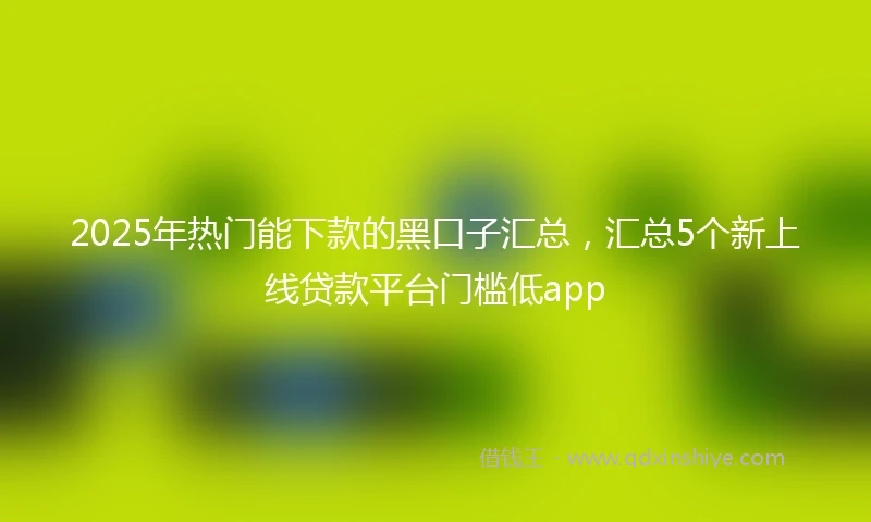 2025年热门能下款的黑口子汇总，汇总5个新上线贷款平台门槛低app